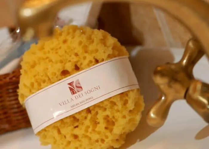 Dei Sogni 4* Κατελειός